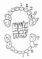 ����20��