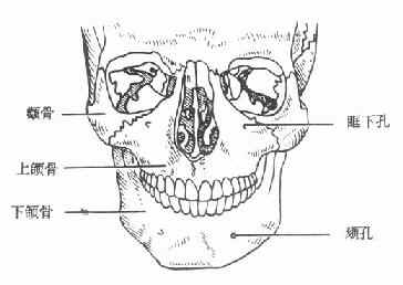 ��沿���������