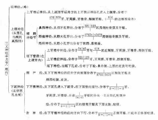 �������о���ֲ�