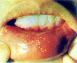 �����Կ���