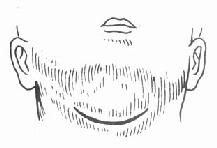 �ڵ׷���֯���п�����