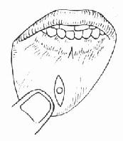 �´�ճҺ�����г�