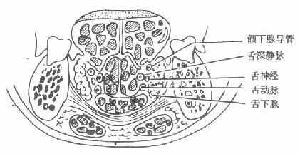 ��������״����