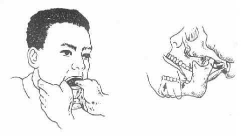 ��ؽ�ǰ��λ�ĸ�λ�ַ�