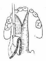 ������׺�Ե����