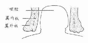 �������ǰ