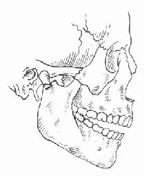 ��״ͻ���ۺ���۶ε���λ