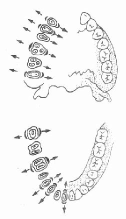 ����ǯ����ʱ��ҡ������ʾ��ͼ