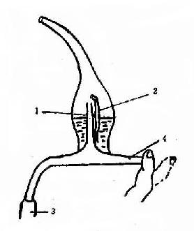 ����������