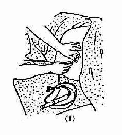 С���������೦