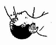 ����̧����