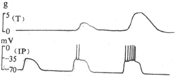 �������������ĵ�