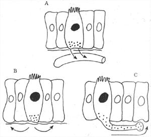 θ���������õ�������Ҫ��ʽ