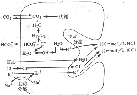 ��ϸ�����������һ�ּ���