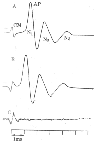 �ɶ����̼������΢������λ�����񾭶�����λ