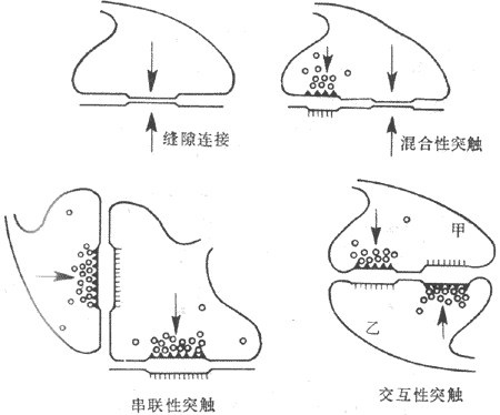 ���ֲ�ͬ��ʽͻ����ģʽͼ��ͷʾ���ݷ���