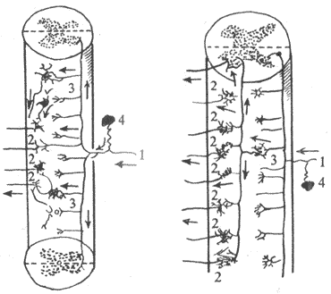 ��Ԫ����ϵ��ʽ