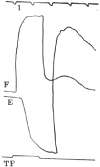�׿��Է���